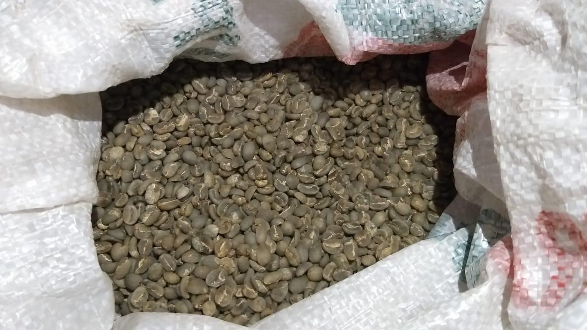 Roasted Coffee Bean Robusta Temanggung - Jawa Tengah. - Image 3